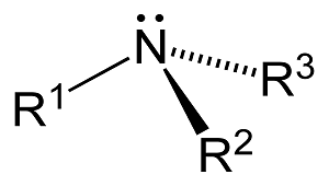 General molecular structure of a tertiary amine